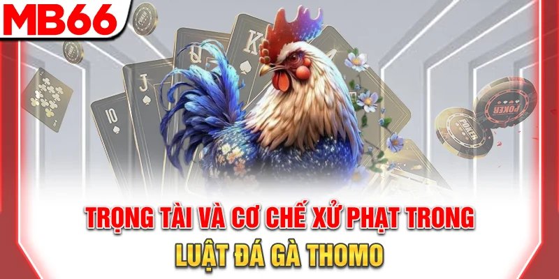 Trọng tài và cơ chế xử phạt trong luật đá gà Thomo