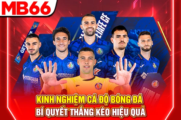 Kinh Nghiệm Cá Độ Bóng Đá - Bí Quyết Thắng Kèo Hiệu Quả 4 Kinh Nghiệm Cá Độ Bóng Đá - Bí Quyết Thắng Kèo Hiệu Quả