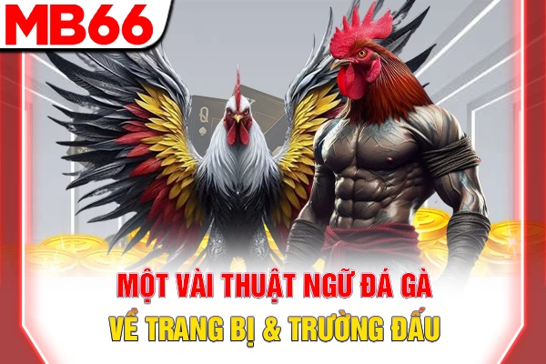 Thuật Ngữ Đá Gà - Từ Điển Chuyên Môn Cần Phải Nắm Rõ 7 Một vài thuật ngữ đá gà về trang bị & trường đấu