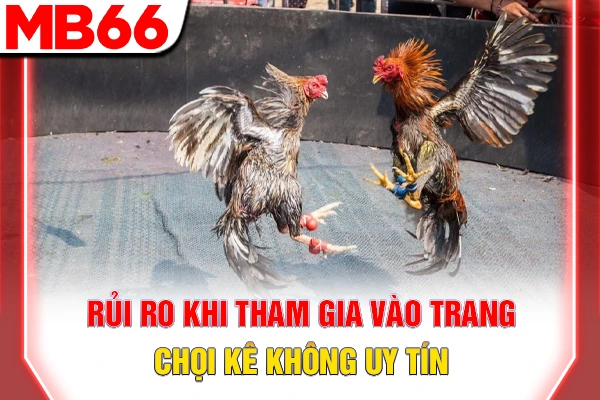 Rủi ro khi tham gia vào trang chọi kê không uy tín